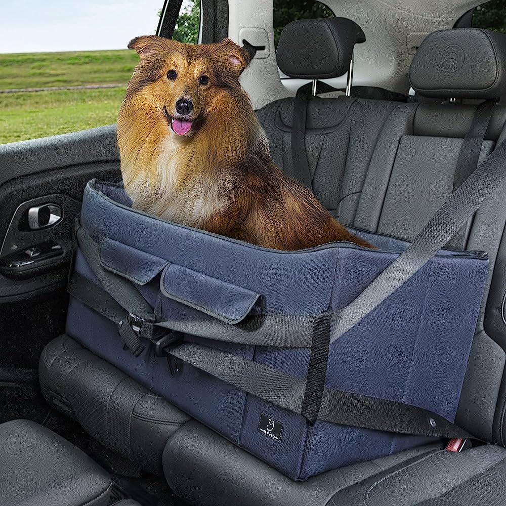 Pet Carriers & Beds